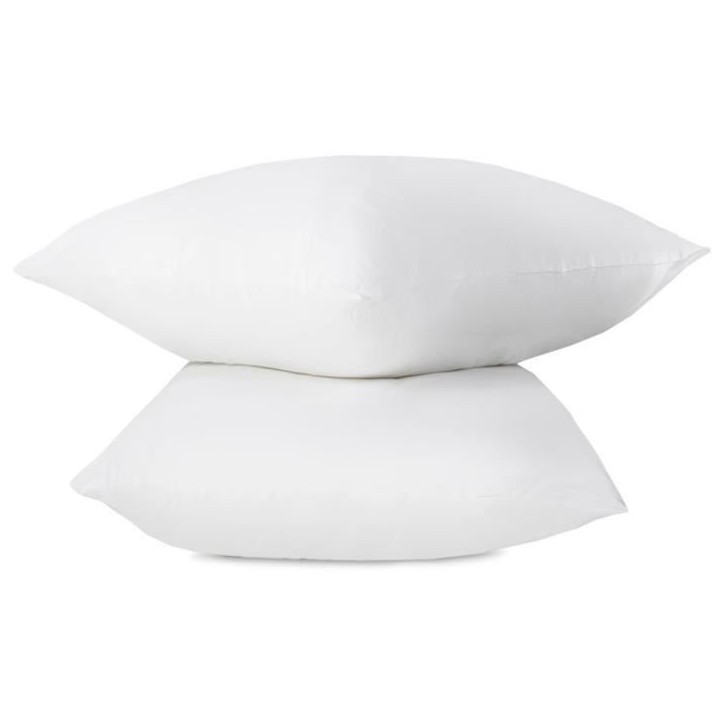 ABEIL Lot de 2 Oreillers FluffyDream 60 x 60 cm ABEIL Lot de 2 Oreillers FluffyDream 60 x 60 cm
