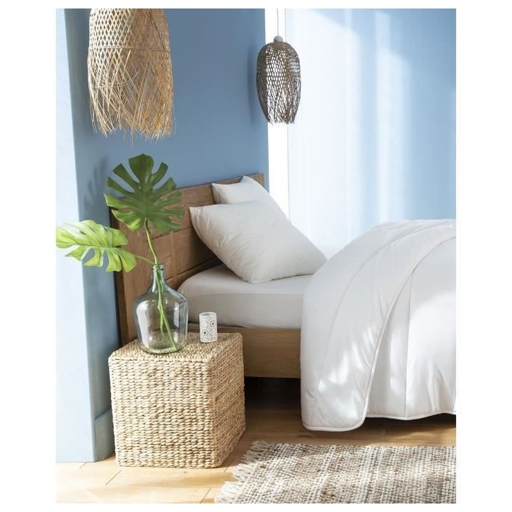 ABEIL Lot de 2 Oreillers FluffyDream 60 x 60 cm ABEIL Lot de 2 Oreillers FluffyDream 60 x 60 cm