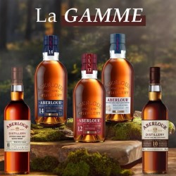 Aberlour - 14 ans - Whisky Ecossais Single Malt avec étui - 40,0% Vol