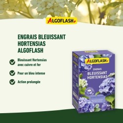 ALGOFLASH NATURASOL NATURASOL Engrais Bleuissant Hortensias - Action p