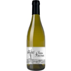 Sans Accroc 2024 - Sélection parcellaire de la vallée du Rhone Viogn