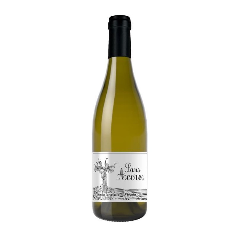 Sans Accroc 2024 - Sélection parcellaire de la vallée du Rhone Viogn Sans Accroc 2024 - Sélection parcellaire de la vallée du Rhone Viogn