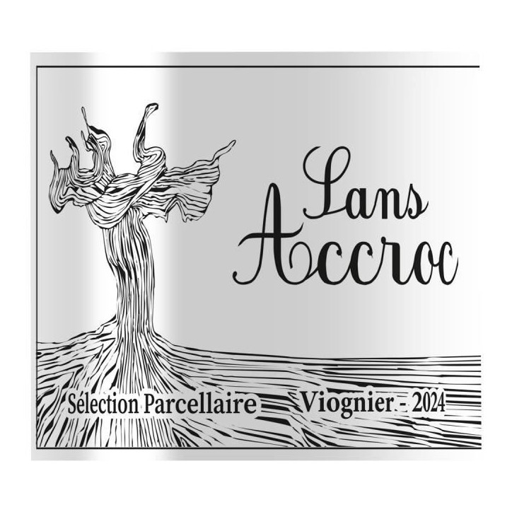 Sans Accroc 2024 - Sélection parcellaire de la vallée du Rhone Viognier - Vin de France - Vin blanc Sans Accroc 2024 - Sélection parcellaire de la vallée du Rhone Viognier - Vin de France - Vin blanc