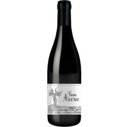 Sans Accroc 2024 Sélection parcellaire Vin de la Vallée du Rhône Sy