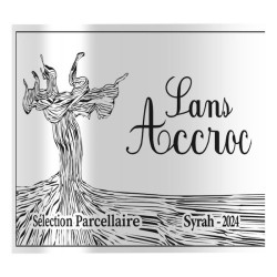 Sans Accroc 2024 Sélection parcellaire Vin de la Vallée du Rhône Sy