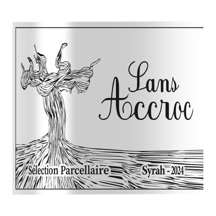 Sans Accroc 2024 Sélection parcellaire Vin de la Vallée du Rhône Syrah - Vin de France rouge Sans Accroc 2024 Sélection parcellaire Vin de la Vallée du Rhône Syrah - Vin de France rouge