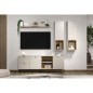 Meuble TV SAO PAULO - Cachemire / Chene blond - 2 portes, 2 niches, 2 tiroirs - 110 x 68 x 45 cm - TRENDTEAM