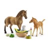 Assortiment Figurine Cheval avec Poulain et Chiot - Animaux de la Ferm