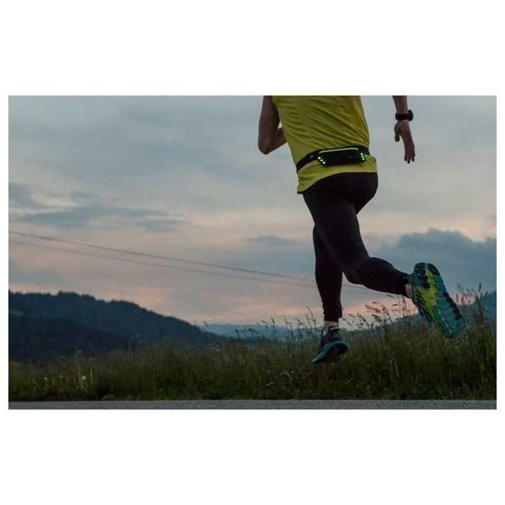 Ceinture de course - SCHILDKRÖT - Wheel Bee Running Waistbag Night Runner LED-Light Ceinture de course - SCHILDKRÖT - Wheel Bee Running Waistbag Night Runner LED-Light