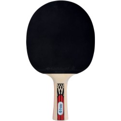Raquette de tennis de table - SCHILDKRÖT - LEGENDS 900 FSC