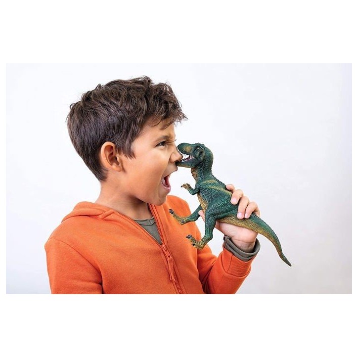 Figurine Tyrannosaure Rex vert, avec détails réalistes, pour enfants des 4 ans, SCHLEICH 14587 Dinosaurs Figurine Tyrannosaure Rex vert, avec détails réalistes, pour enfants des 4 ans, SCHLEICH 14587 Dinosaurs