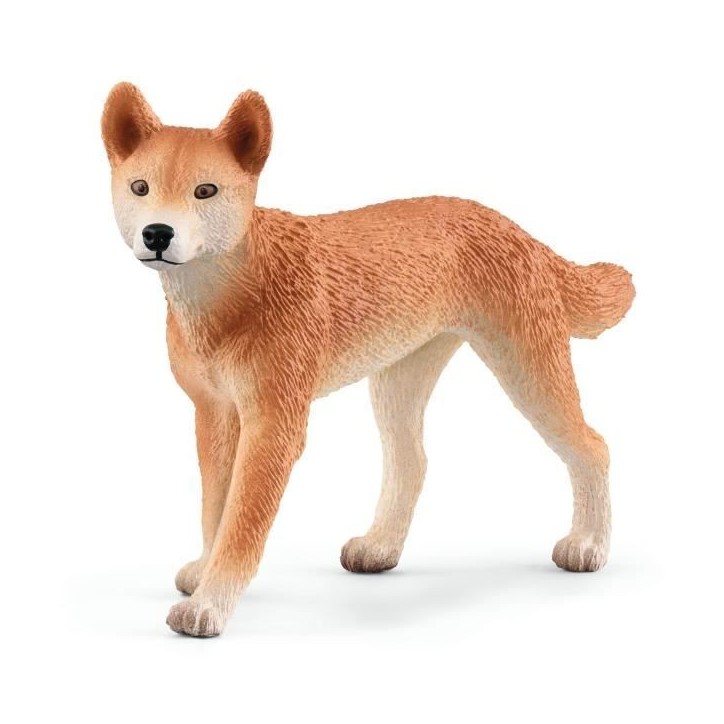 Coffret Aventures en Océanie, figurines animaux sauvages, Schleich 42550 Wild Life, Pour enfant des 3 ans Coffret Aventures en Océanie, figurines animaux sauvages, Schleich 42550 Wild Life, Pour enfant des 3 ans