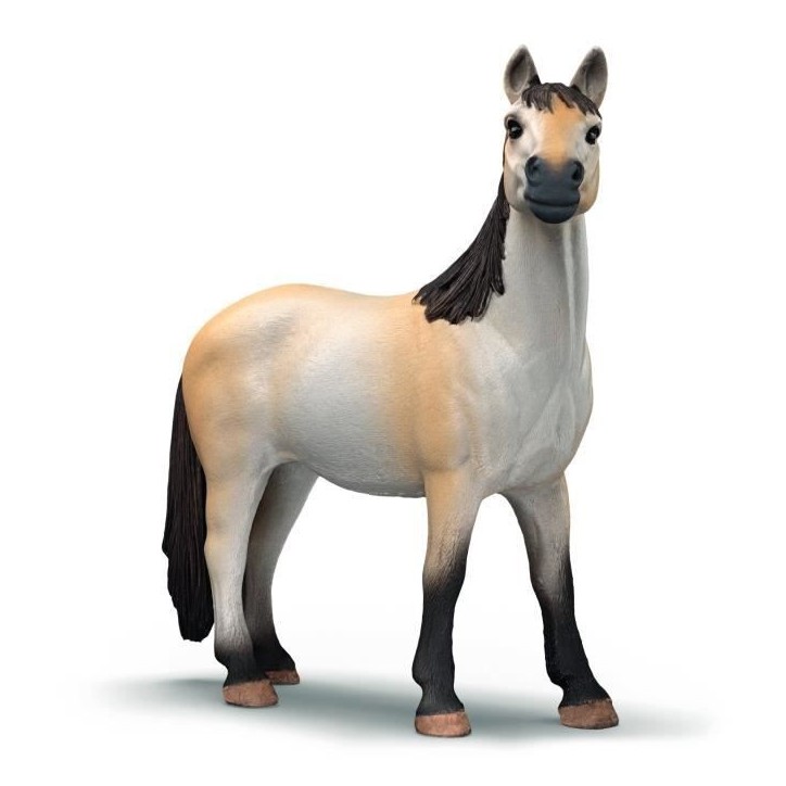 Coffret Box avec Jument Mustang, Figurine réaliste, Taille 24 cm, SCHLEICH 42724 Farm World, Des 4 ans