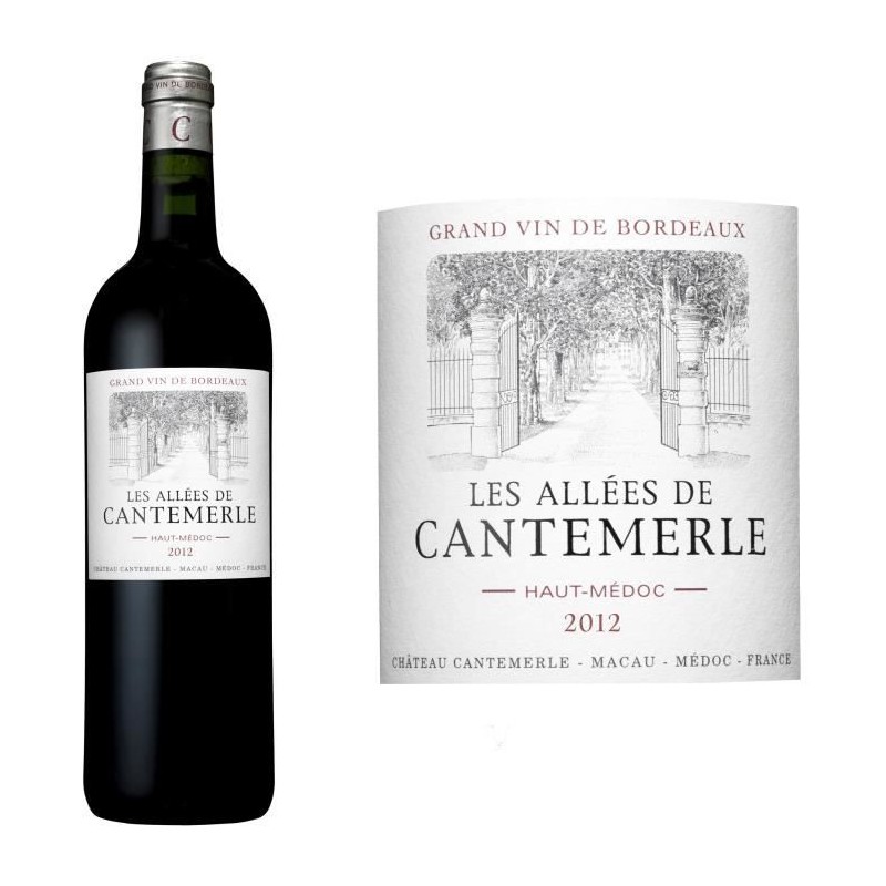 Les Allées de Cantemerle 2020 Haut Médoc - Vin rouge de Bordeaux