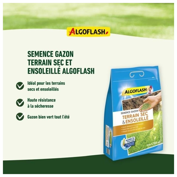 ALGOFLASH - Gazon terrain sec ensoleillé 1kg ALGOFLASH - Gazon terrain sec ensoleillé 1kg
