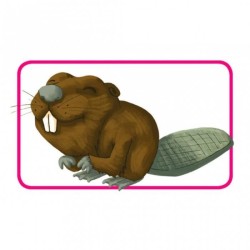 Concept Kids : Animaux - Asmodee - Jeu de société