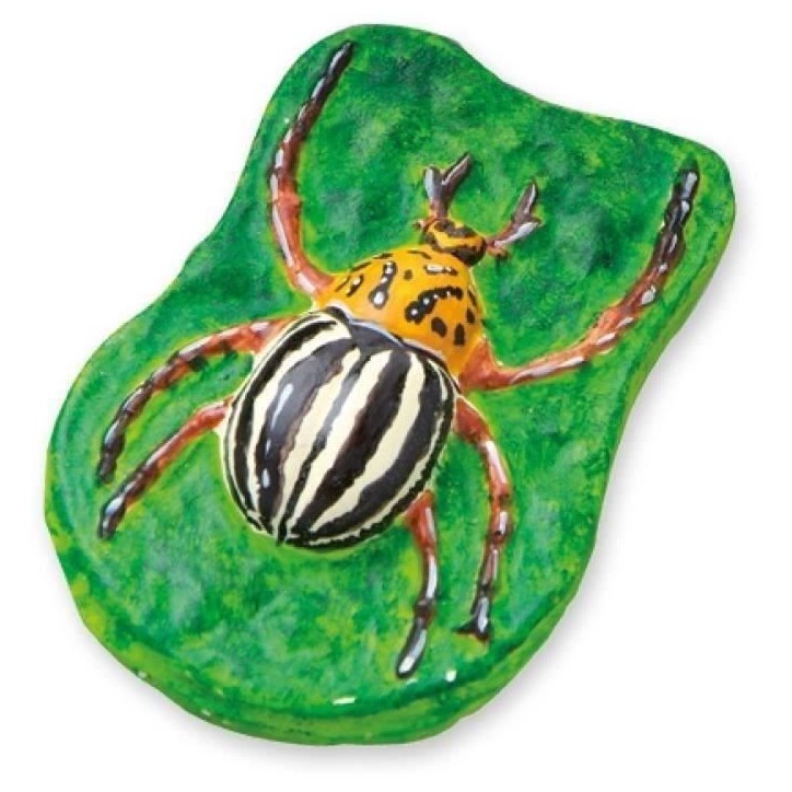SES CREATIVE Moulage et peinture - Animaux effrayants