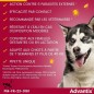 Advantix Chien Solution Antiparasitaire Tres Grande Race 40 a 60kg 4 pipettes