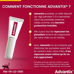 ADVANTIX Chien Solution Antiparasitaire Tres Grande Race 40 a 60kg 6 p