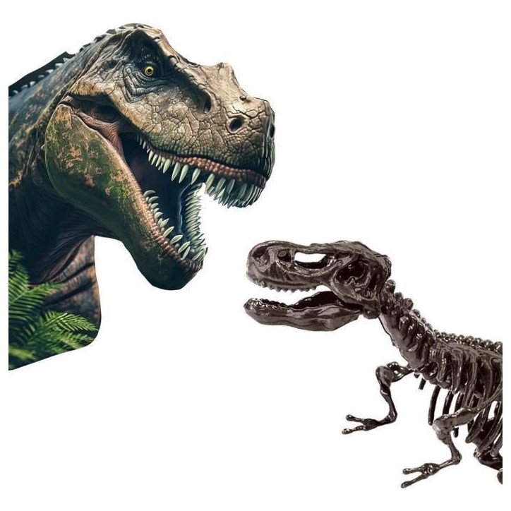 Fouille de dinosaures et de squelettes 2 en 1 - T-rex - SES CREATIVE