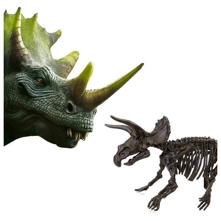 Fouille de dinosaures et de squelettes 2 en 1 - Tricératops - SES CREATIVE