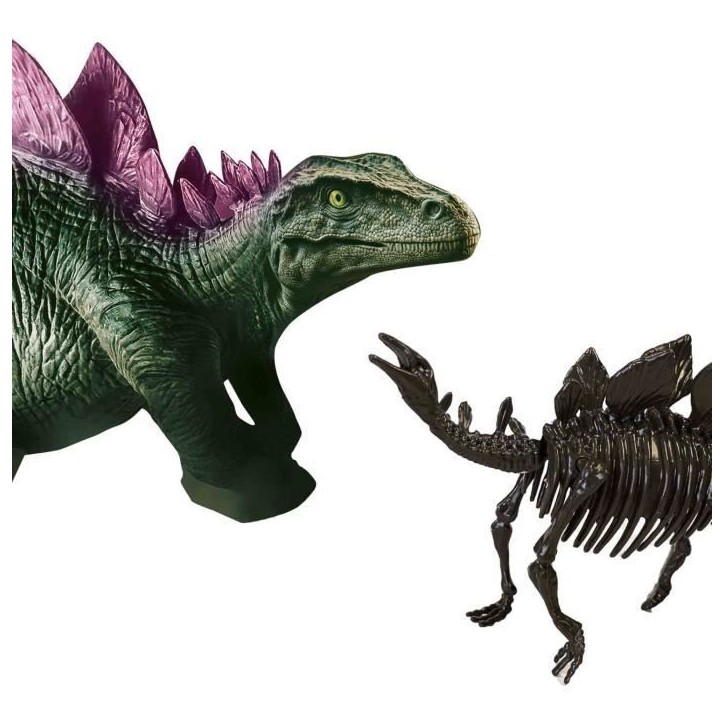 Fouille de dinosaures et de squelettes 2 en 1 - Stégosaure - SES CREATIVE