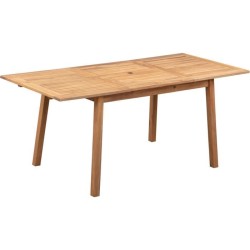 Ensemble repas de jardin 4-6 personnes - Eucalyptus FSC - Table extens