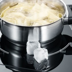 Plaque de cuisson posable SEVERIN - DK1031 - Induction 2 foyers - Jusq