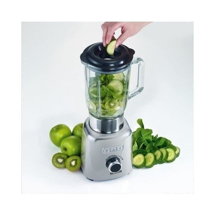 Blender- SEVERIN - SM3710 - 1000 W - Pichet en verre 1,5 L - Inox