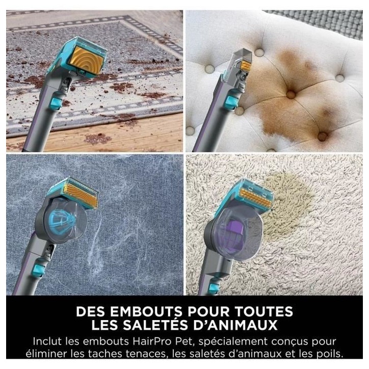 SHARK PX250EUT StainStriker Détacheur HairPro Pet - Moquettes, tapis, meubles, escaliers les voitures - 450W - 1,2 L - 1,26 m SHARK PX250EUT StainStriker Détacheur HairPro Pet - Moquettes, tapis, meubles, escaliers les voitures - 450W - 1,2 L - 1,26 m