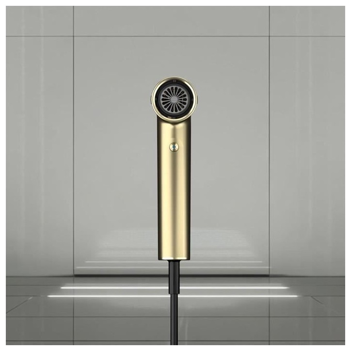 Seche-cheveux - SHARK - SpeedStyle Pro 3-en-1 - 1750 W - 3 accessoires - Édition limitée Gold