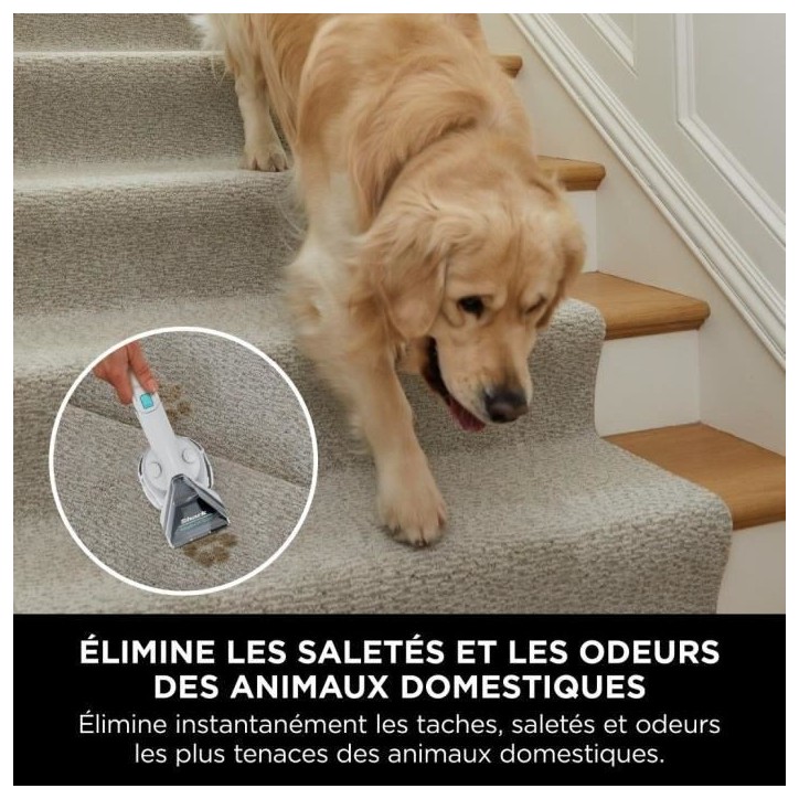 Détacheur SHARK StainStriker PX200EUT - Détache, Nettoie et Aspire - Rayon d'action 5,7 metres - Compact et Portatif Détacheur SHARK StainStriker PX200EUT - Détache, Nettoie et Aspire - Rayon d'action 5,7 metres - Compact et Portatif