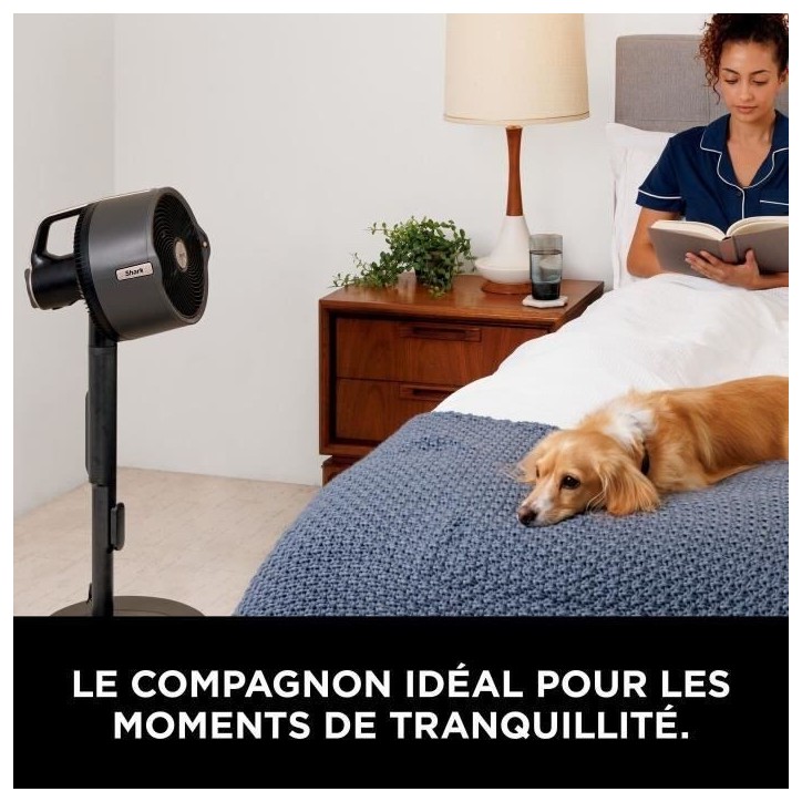 Ventilateur brumisateur - SHARK - FA300EU - Intérieur et extérieur - FlexBreeze ProMist