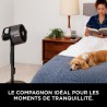 Ventilateur brumisateur - SHARK - FA300EU - Intérieur et extérieur -