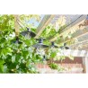 Guirlande solaire Vivo 365 20L - SMART SOLAR - 8 ampoules LED blanc ch
