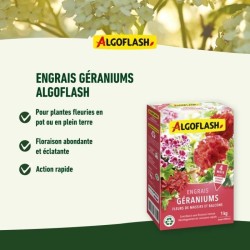 ALGOFLASH NATURASOL Engrais Géraniums, Fleurs de Massifs et Balcons -