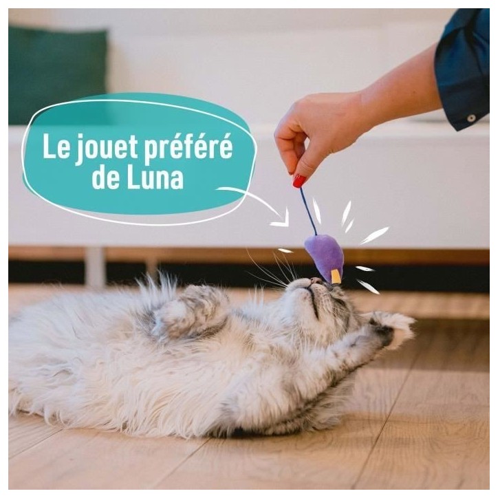 7 jouets pour Chat - AIMÉ