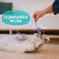 7 jouets pour Chat - AIMÉ 7 jouets pour Chat - AIMÉ