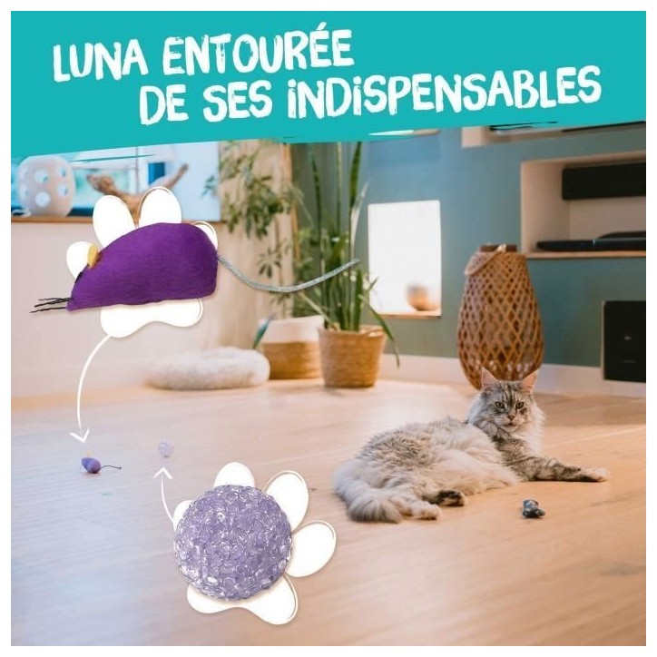 7 jouets pour Chat - AIMÉ