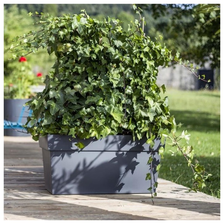 Jardiniere Muret a réserve d'eau avec roulettes - EDA - Toscane - 74 L - 79 x 35 x H.39 cm - Gris Anthracite Jardiniere Muret a réserve d'eau avec roulettes - EDA - Toscane - 74 L - 79 x 35 x H.39 cm - Gris Anthracite