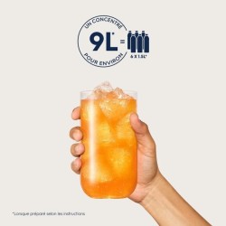 Concentrés SODASTREAM - Lot de 6 concentrés Agrumes - Jusqu'a 54L de