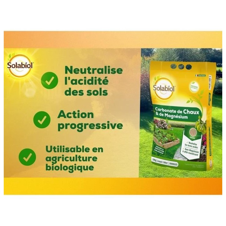 SOLABIOL SOCHAUX10 Carbonate De Chaux Et De Magnesium 10kg, Efficace SOLABIOL SOCHAUX10 Carbonate De Chaux Et De Magnesium 10kg, Efficace