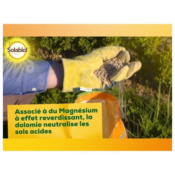 SOLABIOL SOCHAUX10 Carbonate De Chaux Et De Magnesium 10kg, Efficace SOLABIOL SOCHAUX10 Carbonate De Chaux Et De Magnesium 10kg, Efficace