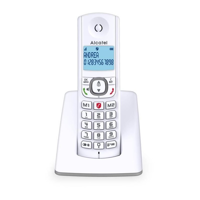 Téléphone sans fil - ALCATEL - F530 - Solo Gris