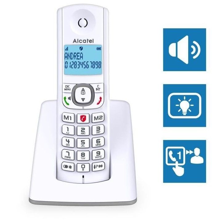 Téléphone sans fil - ALCATEL - F530 - Solo Gris Téléphone sans fil - ALCATEL - F530 - Solo Gris