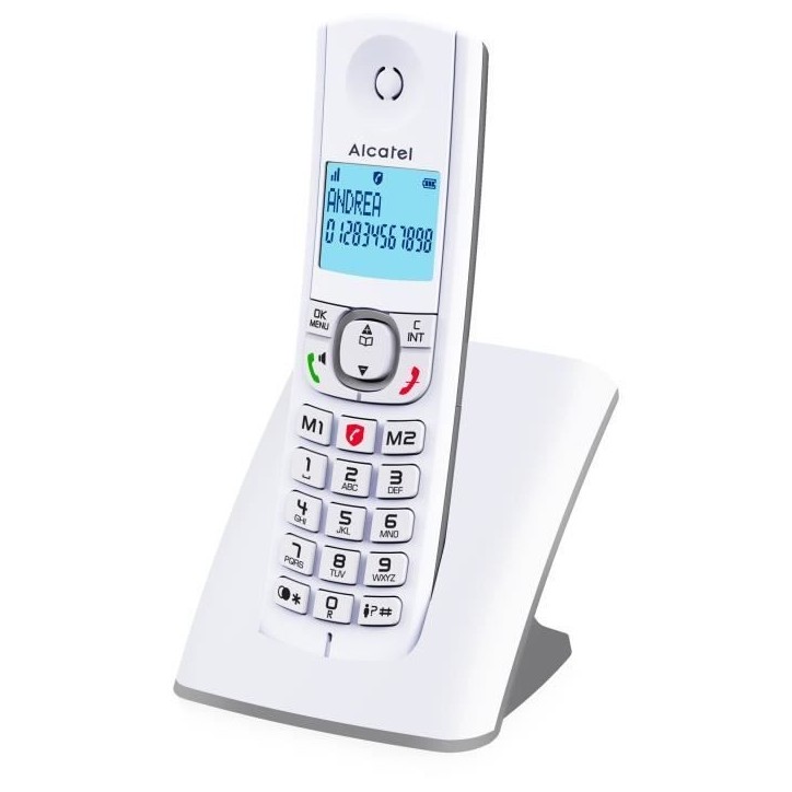 Téléphone sans fil - ALCATEL - F530 - Solo Gris Téléphone sans fil - ALCATEL - F530 - Solo Gris