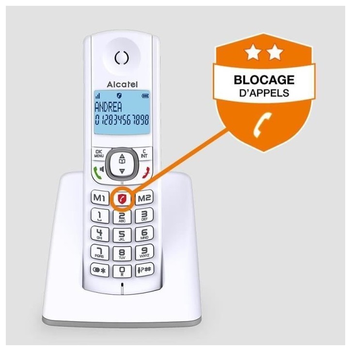 Téléphone sans fil - ALCATEL - F530 - Solo Gris Téléphone sans fil - ALCATEL - F530 - Solo Gris