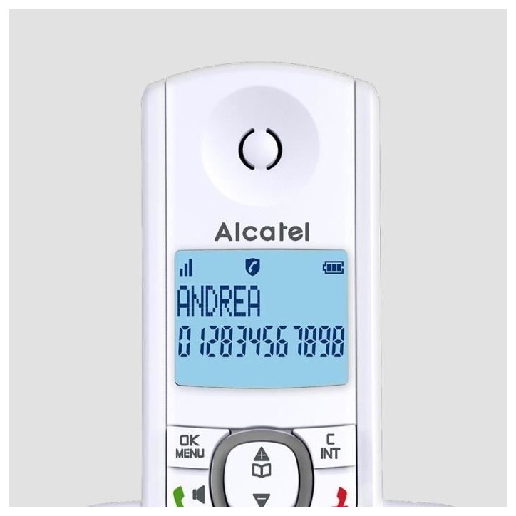 Téléphone sans fil - ALCATEL - F530 - Solo Gris Téléphone sans fil - ALCATEL - F530 - Solo Gris