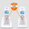 Téléphone sans fil - ALCATEL - F530 Duo - 2 combinés, blocage d'app