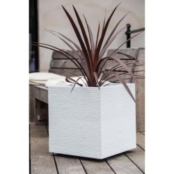 Bac a fleurs Carré 50 cm - EDA - Graphit - 57 L - 49,5 x 49,5 x H. 49